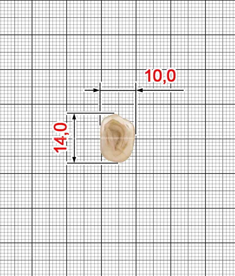 Ґудзик K.FP-4251-13